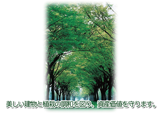美しい建物と植栽の調和を図り、資産価値を守ります。