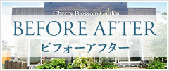 ビフォーアフター