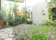 DSCN9683