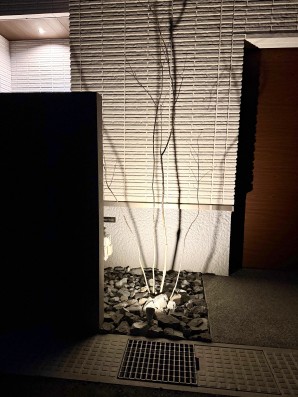 加古川市の新築外構で、シンボルツリーのアオダモがガーデンライトに照らされている画像