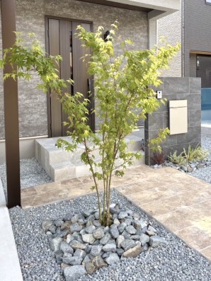 IMG_9925 加古郡播磨町の新築外構で、シンボルツリーにイロハモミジを植えた事例