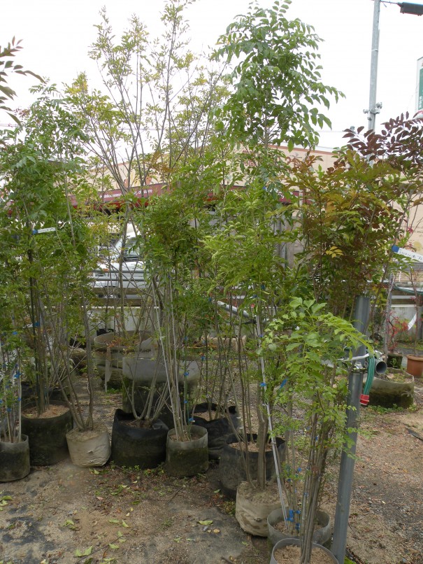 タカショウの塩ビ製ドラフトチャンバー 貴商エンジニアリング株式会社